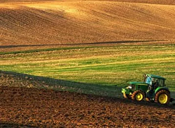 Στέλεχος Αγροτικής Οικονομίας