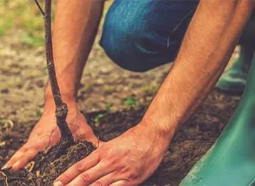 Δενδροκομία & Εναλλακτικές Καλλιέργειες