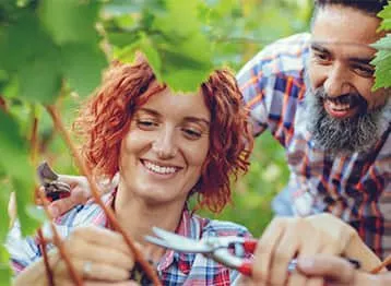 Τεχνικός Αγροτουρισμού