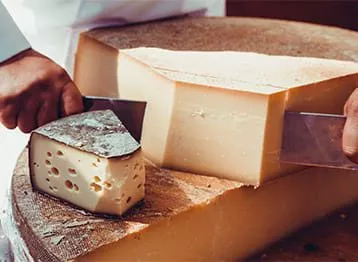 Τεχνικός Γαλακτοκομίας – Τυροκόμος